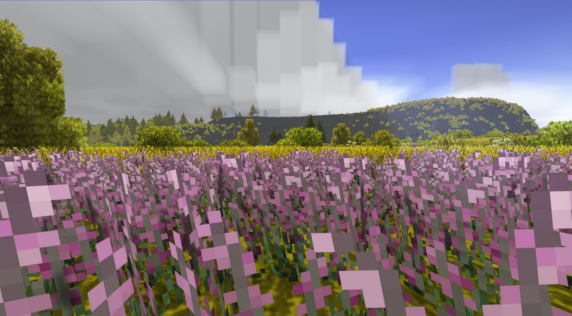 screenshot-2