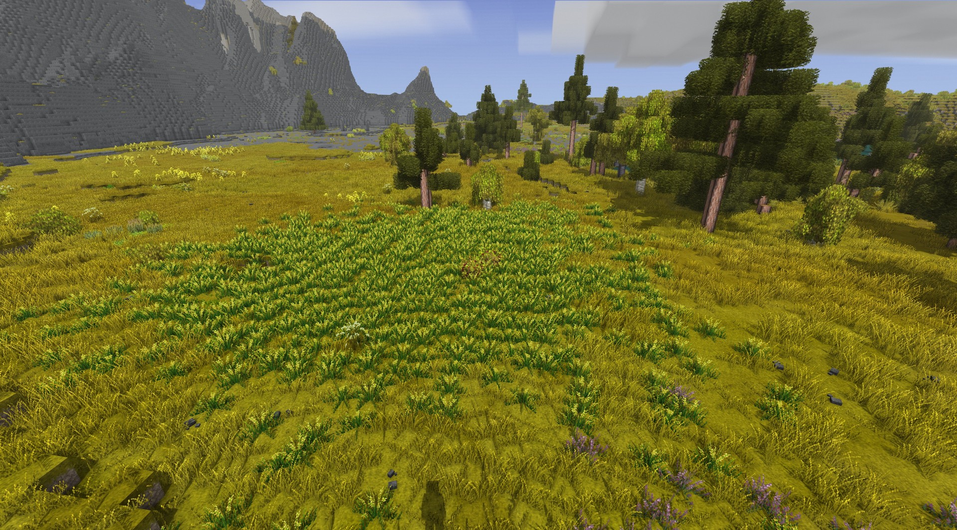 screenshot-1