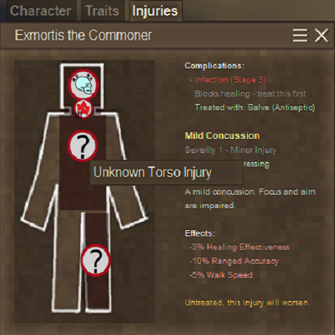 Injury Expanded – Vintage Story Mod