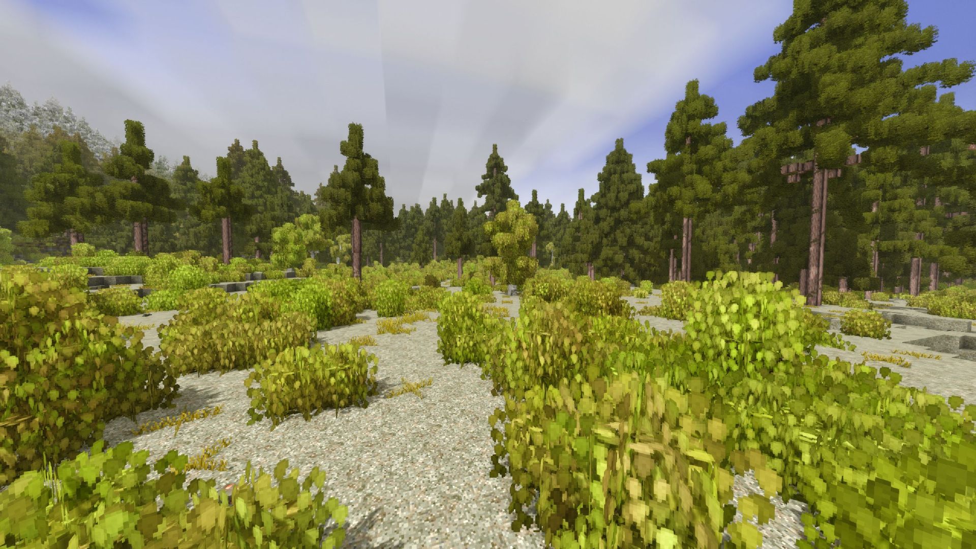 screenshot-3