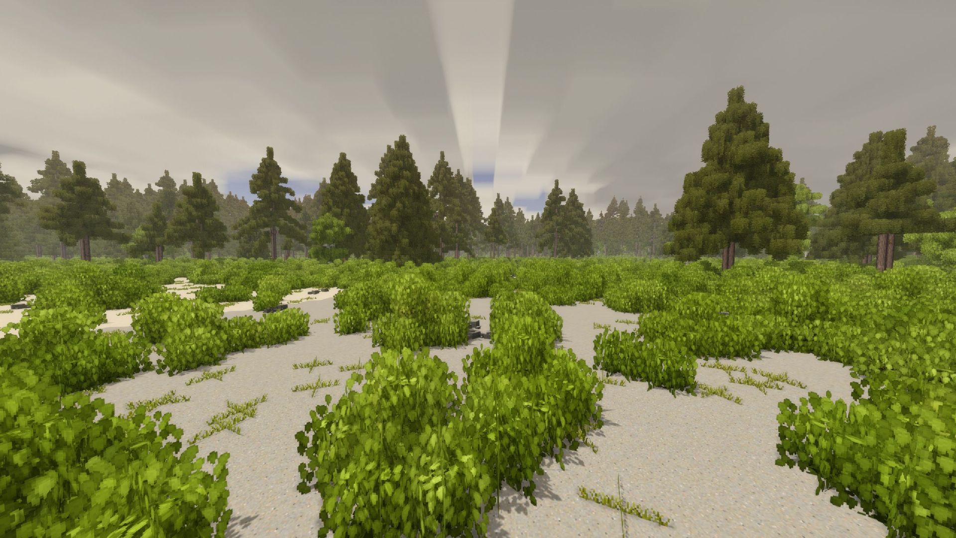 screenshot-5