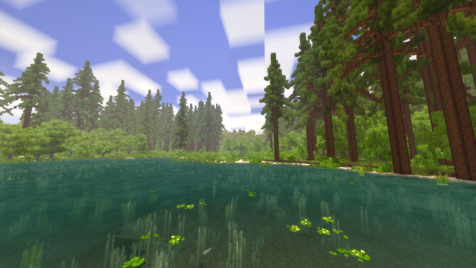 screenshot-6