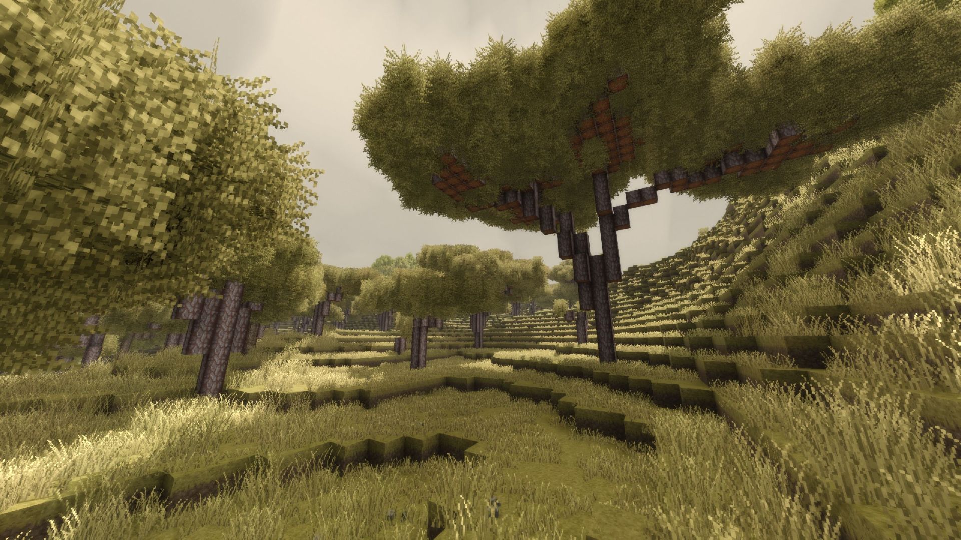 screenshot-9