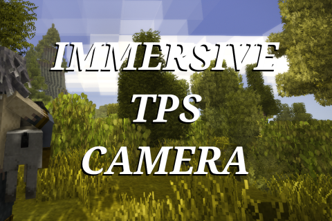 Immersive Third Person Camera