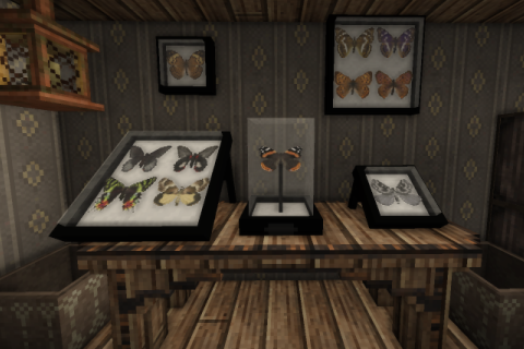 Butterfly Cases - Reborn project artwork